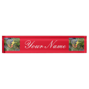 red-tailed sirena mermaids nameplate