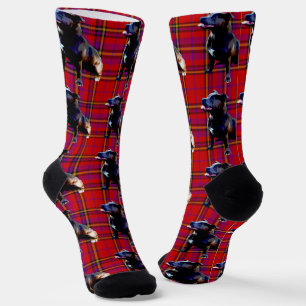 Red Tartan Staffordshire Bull Terrier, Crew Socks