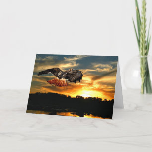 Red Thai hawk at sunset Card