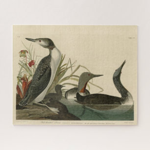 Red-Throated Diver (Loon) Audubon Birds of America Jigsaw Puzzle