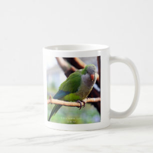 Red-throated stink, Monk parakeet Coffee Mug