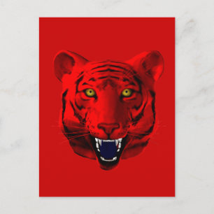 Red Tiger Postcard