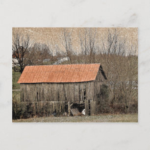 Red Tin Roof Postcard
