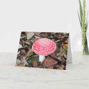 Red Toadstool Amanita muscaria Holiday Card
