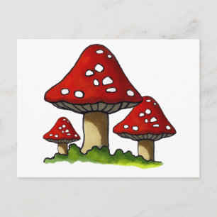 Red Toadtstools, Mushroom: Freehand Art Postcard