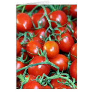 red tomato vines