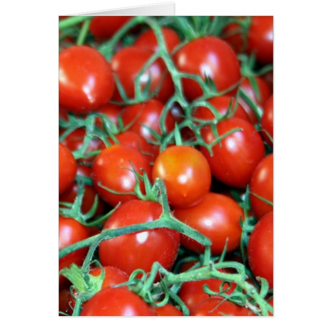 red tomato vines (Front)
