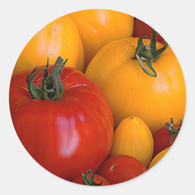 Red Tomatoes, Yellow Tomatoes Classic Round Sticker (Front)