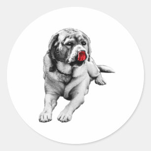 Red Tongue Pup – Cheeky Mark Classic Round Sticker