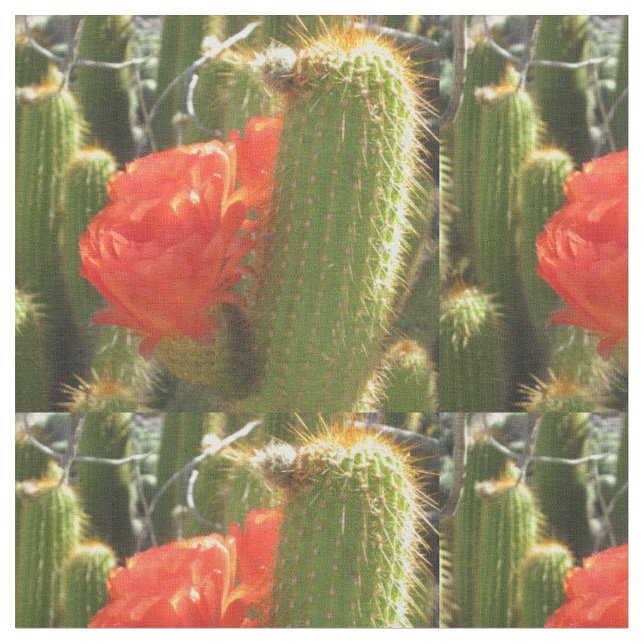 Red Torch Cactus Fabric (Close Up)