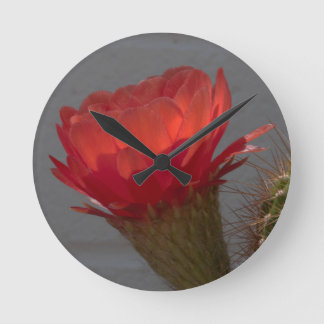 Red Torch Cactus Flower Round Clock