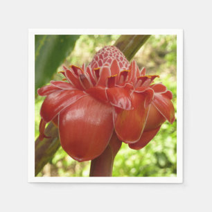 Red Torch Ginger Tropical Flower Photography Napkin