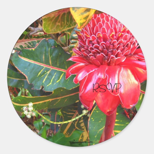 Red Torch Ginger Wedding Mail Envelope Seals (Front)