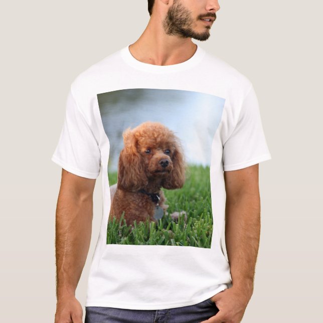 Red Toy Poodle T-Shirt (Front)