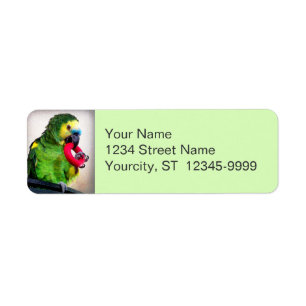 Red Toy Return Address Label