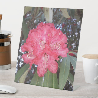 Red tree flower pedestal sign