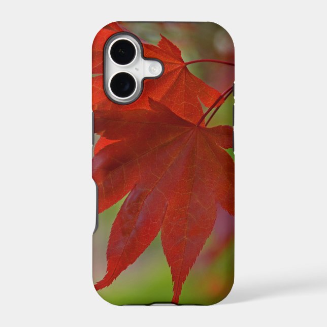 Red Tree Leaves (Back)