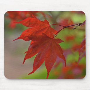 Red Tree Leaves Mouse Pad