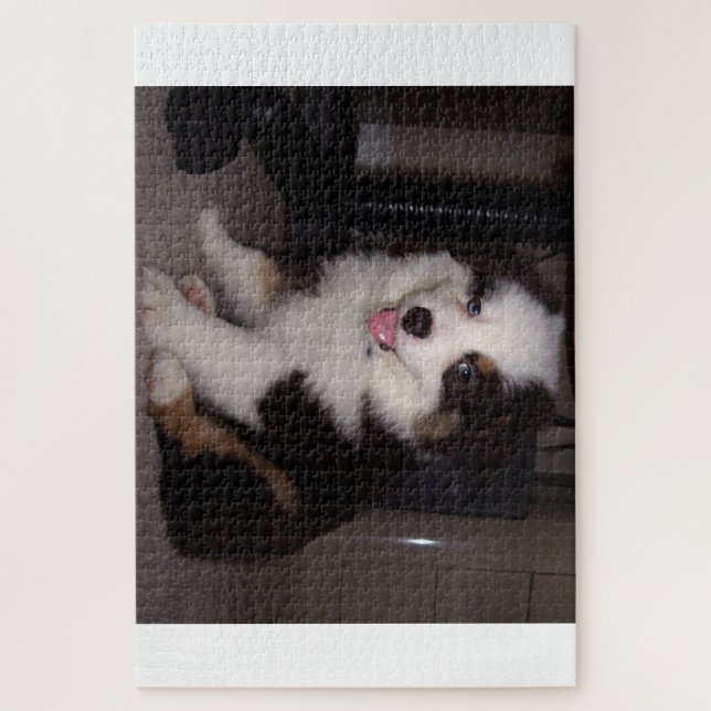 red tri Puppy mini aussie Jigsaw Puzzle (Vertical)