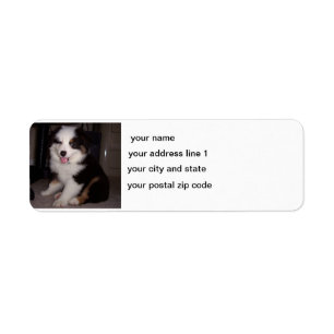 red tri Puppy mini aussie Return Address Label