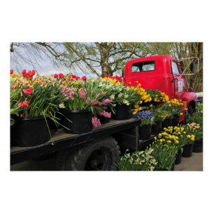 Red Truck with Spring Flowers & Rainbow Poster