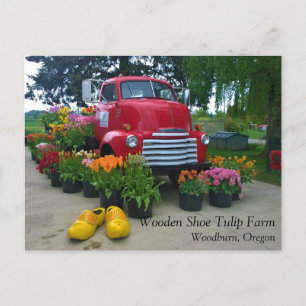 Red Truck with Tulips, Oregon Postcard