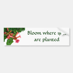 Red Trumpet Vine Bumper Sticker