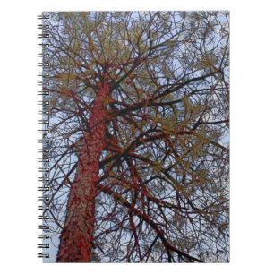 Red Trunk Pine Notebook