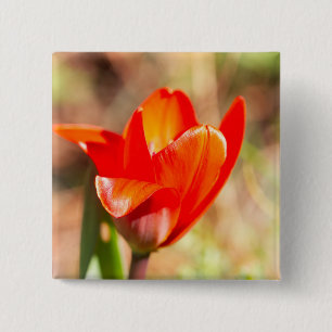 Red Tulip Blossom 15 Cm Square Badge