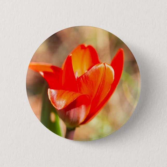 Red Tulip Blossom 6 Cm Round Badge (Front)