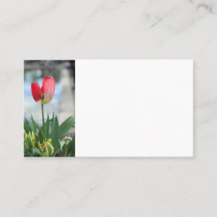 Red Tulip Business Cards