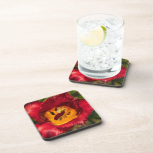 Red tulip coaster