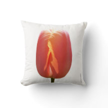 Red Tulip