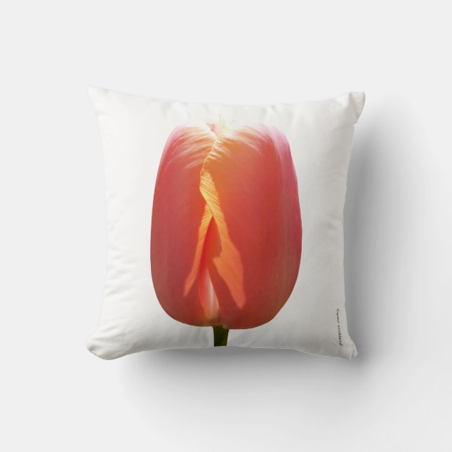 Red Tulip Cushion (Front)