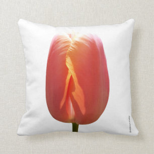 Red Tulip Cushion