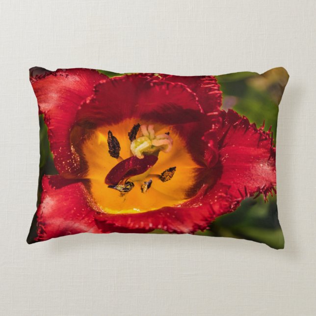 Red tulip decorative cushion (Back)