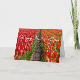 Red Tulip Field Mother's Day Card