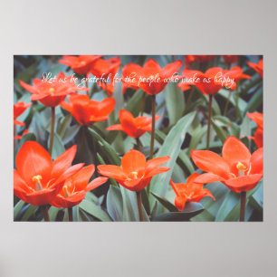Red tulip field poster