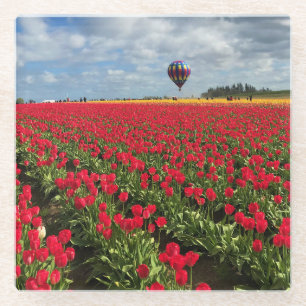 Red Tulip Field with Hot Air Balloon Glass Coaster