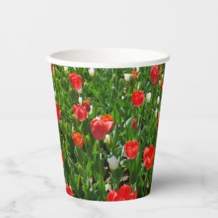 Red Tulip Flower Field Nature Photography Paper Cups