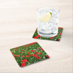 Red Tulip Flower Field Nature Photography Square Paper Coaster