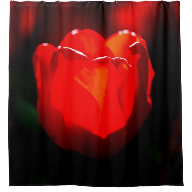 Red Tulip Flower - Fire Shower Curtain (Front)