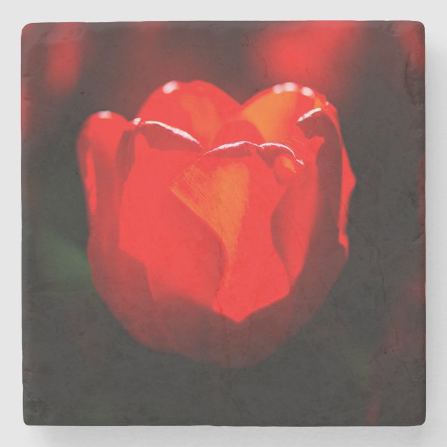 Red Tulip Flower - Fire Stone Coaster (Front)