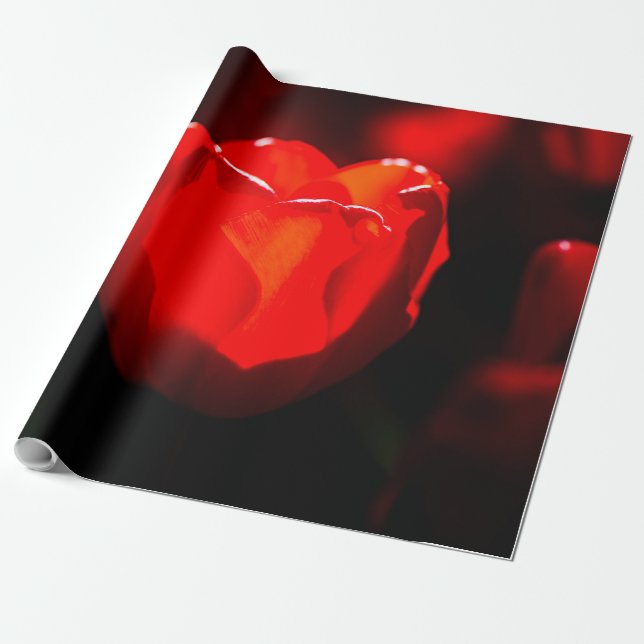 Red Tulip Flower - Fire Wrapping Paper (Unrolled)