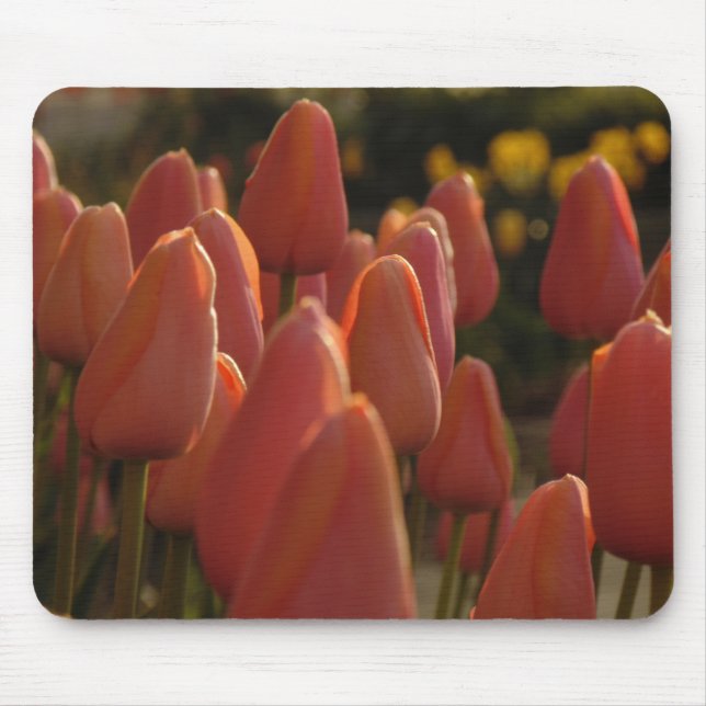 Red tulip flower Mouse pad (Front)