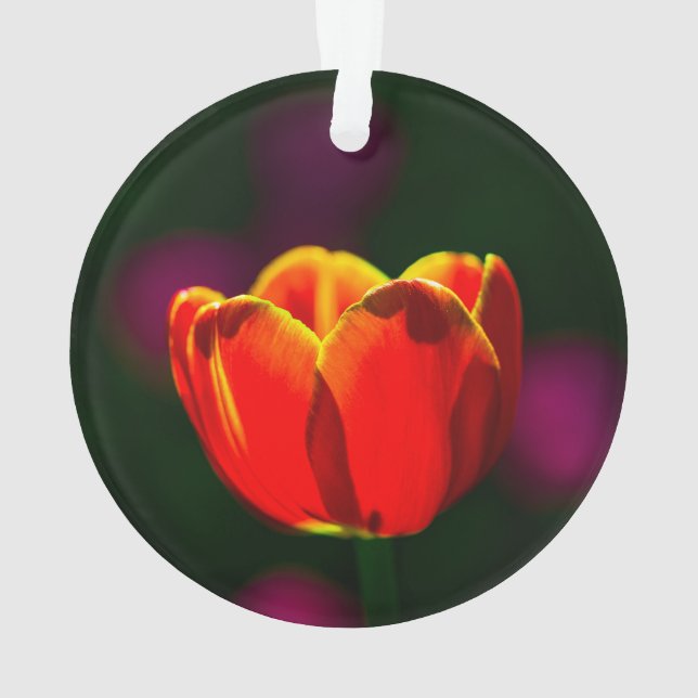 Red tulip flower ornament (Back)