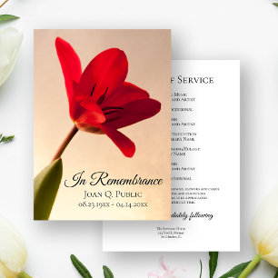 Red Tulip Flower Spring Funeral Memorial Service Program