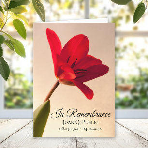 Red Tulip Flower Spring Funeral Service Folded Program
