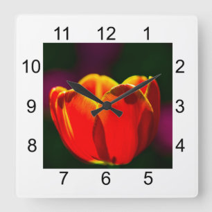 Red tulip flower square wall clock