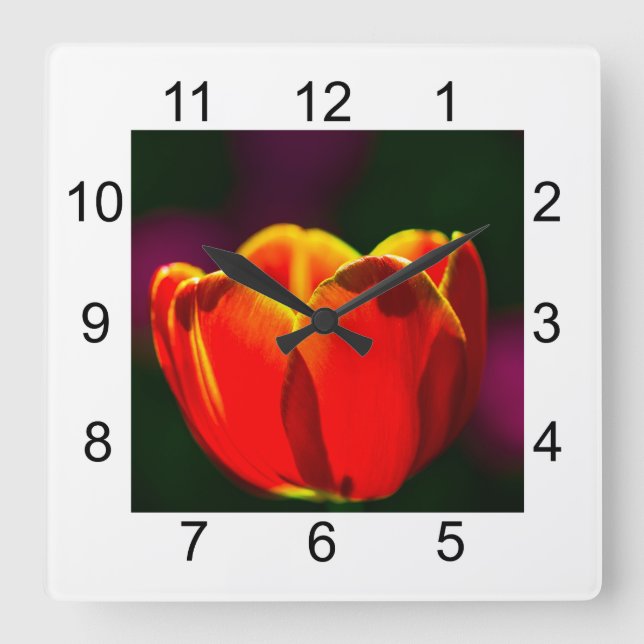 Red tulip flower square wall clock (Front)